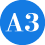 a3